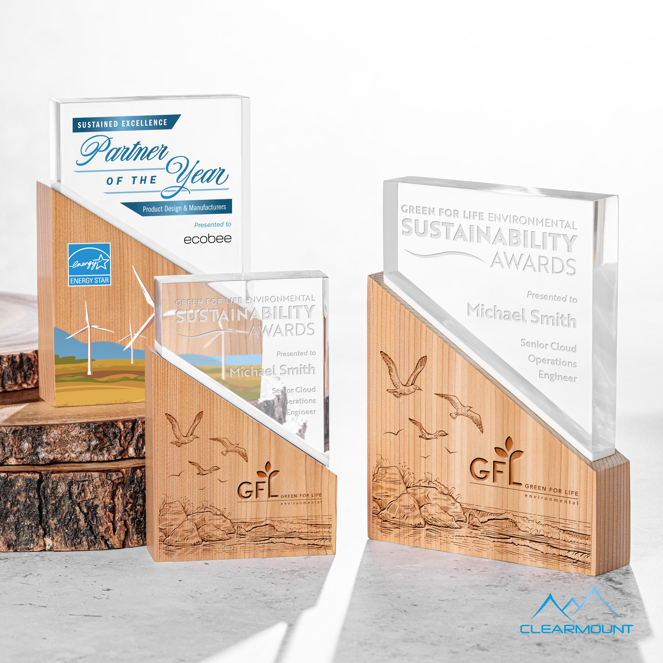 Rocheaux Award view 7