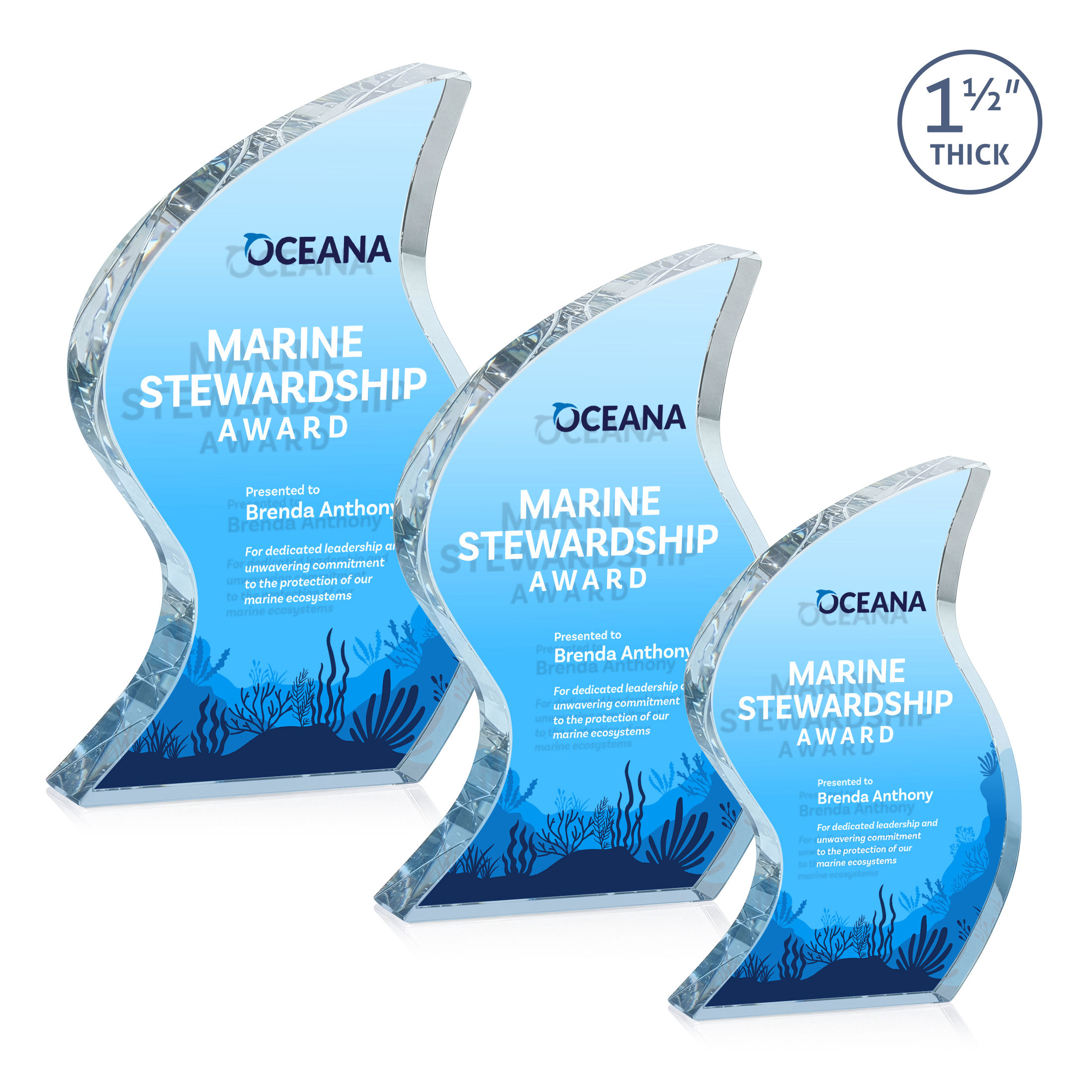 Nexis VividPrint™ Double Sided Award