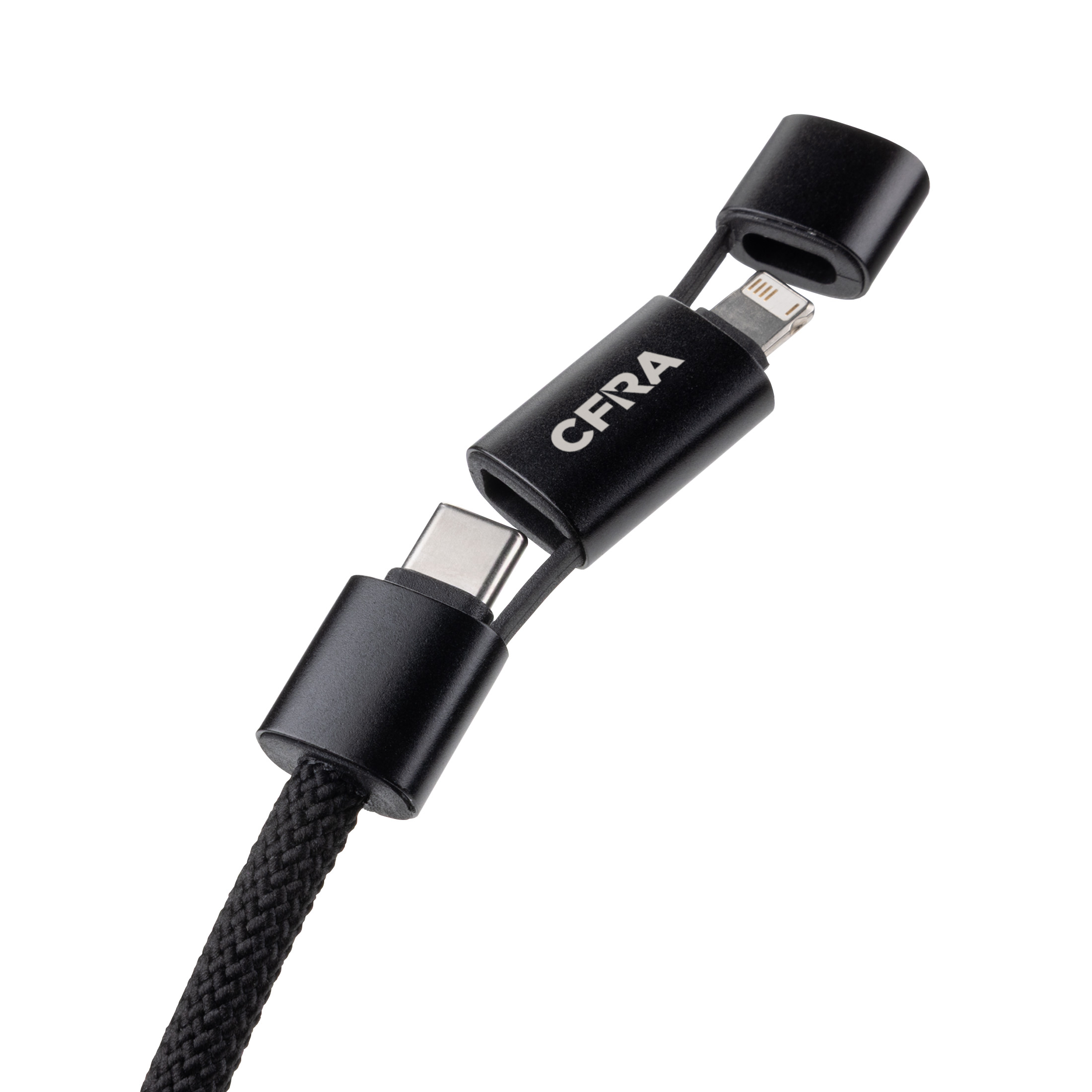 Multi-connector Cable