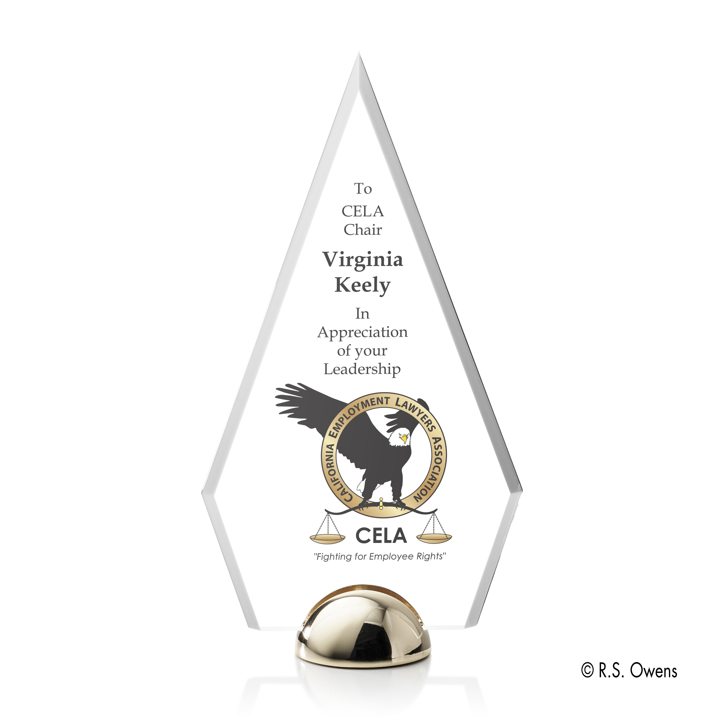 Apex Hemisphere VividPrint™ Award 16