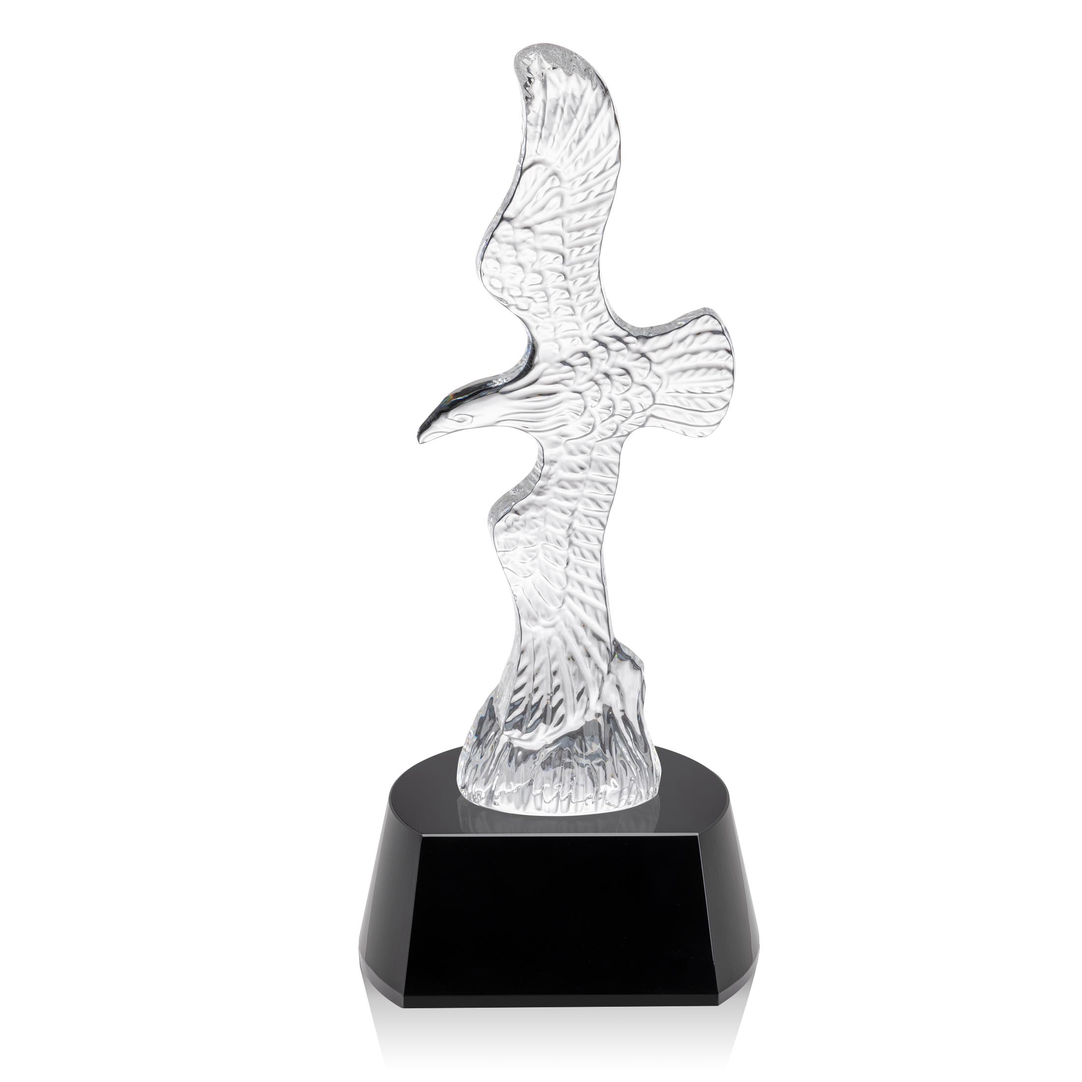 Staffordshire Eagle Award - Black
