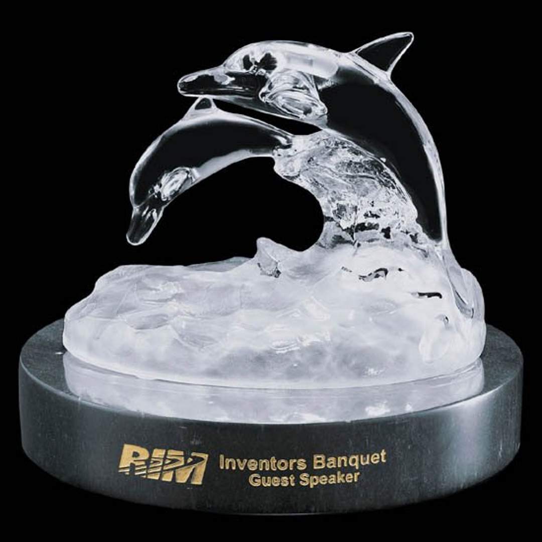 Dolphin Family Award